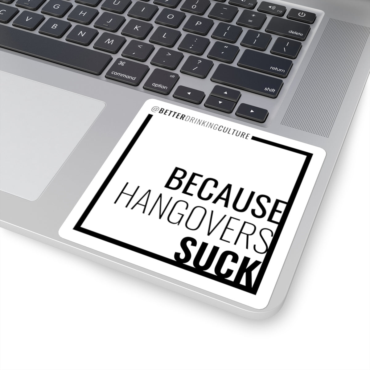 Because Hangovers Suck Sticker